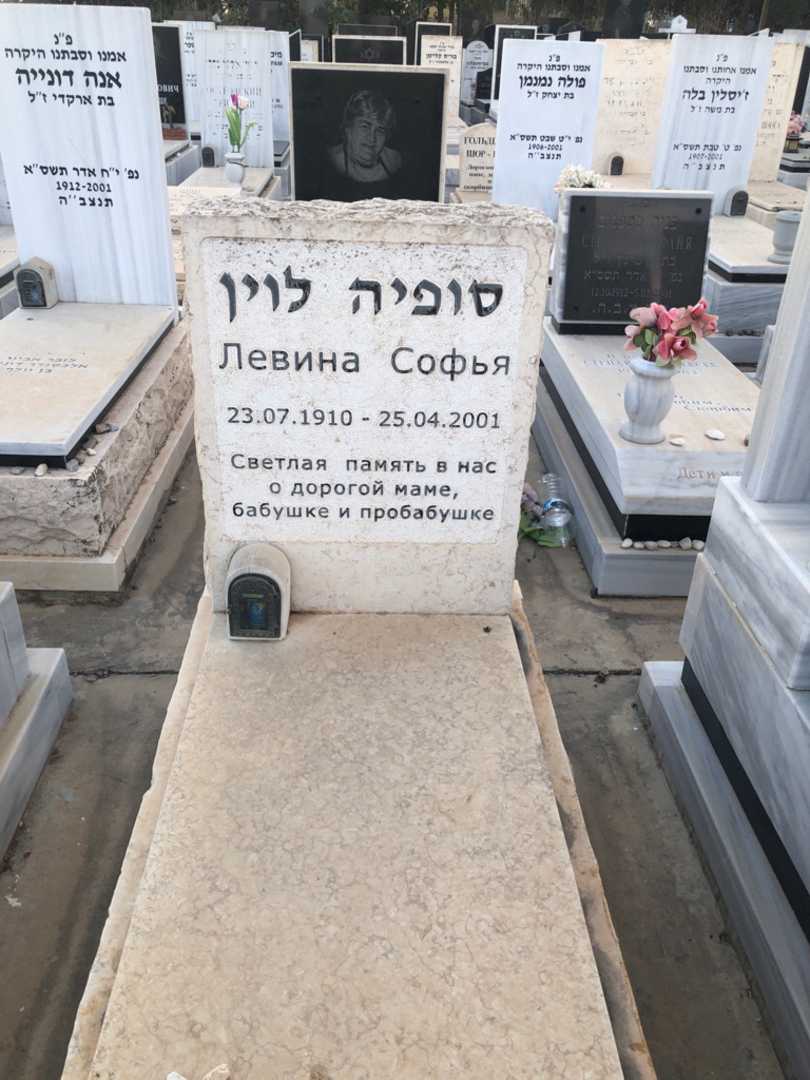 קברו של סופיה לוין