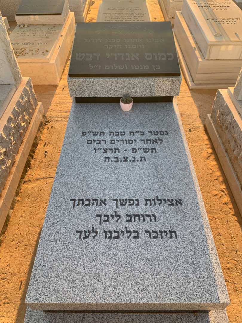 קברו של כמוס  אנדרי דבש