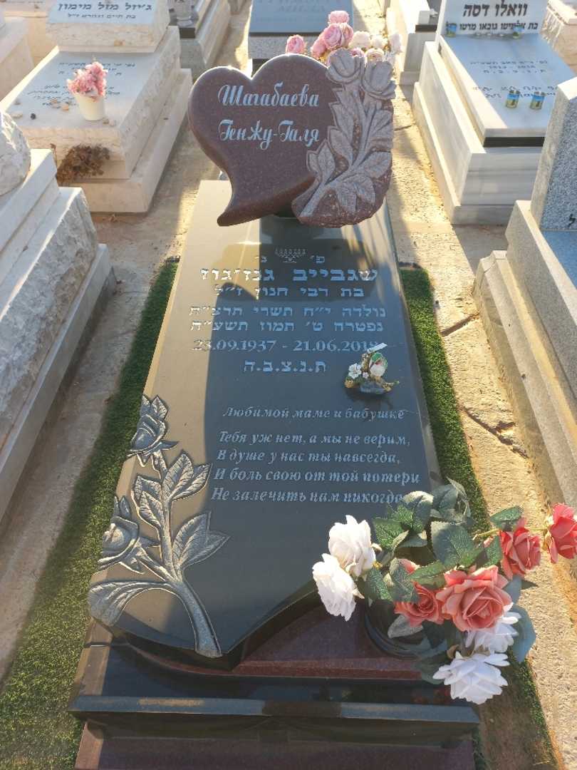 קברו של שגבייב גנז'גוז