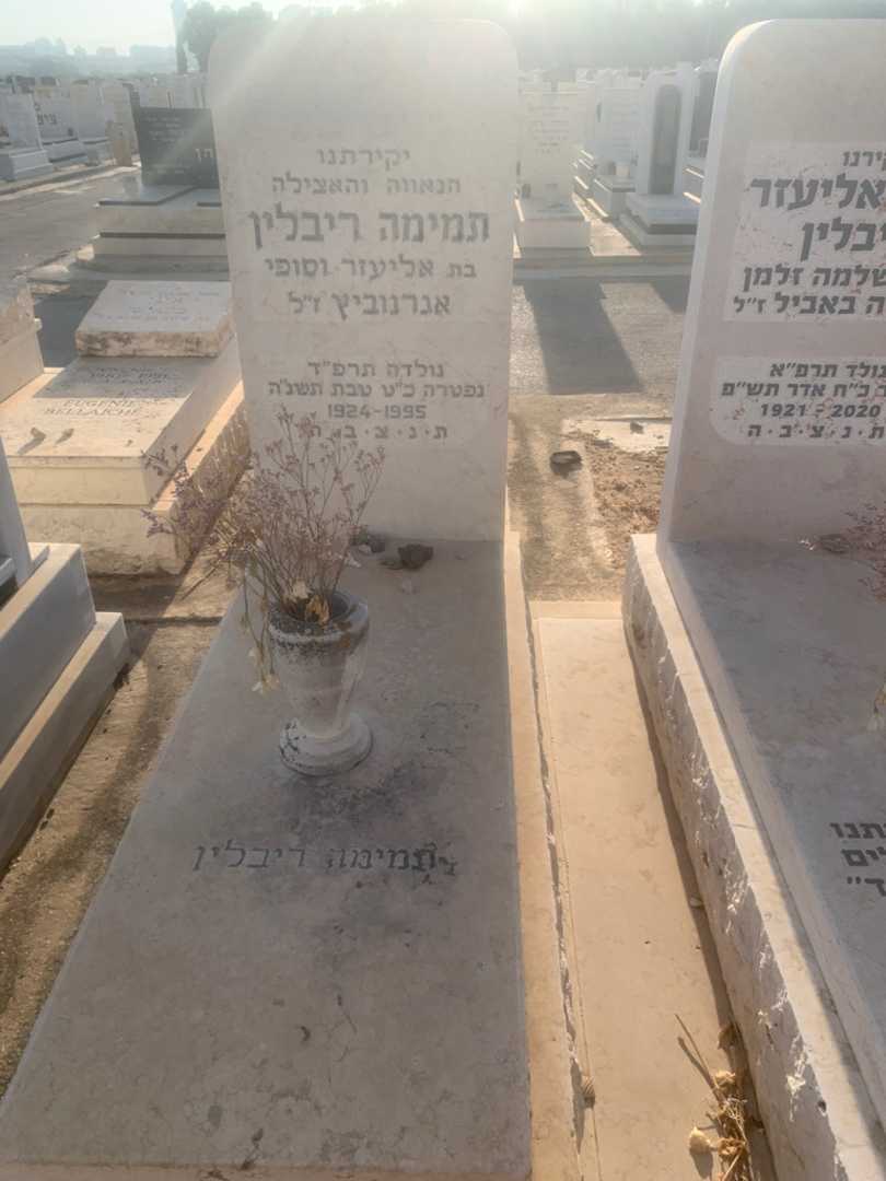 קברו של תמימה ריבלין. תמונה 1