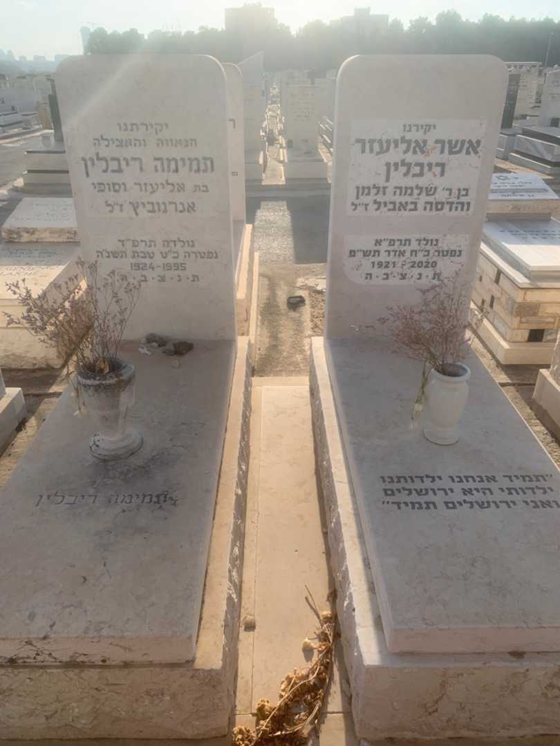 קברו של תמימה ריבלין. תמונה 2