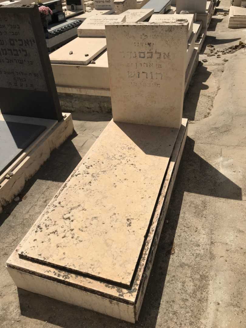 קברו של אלכסנדר חורוש. תמונה 1