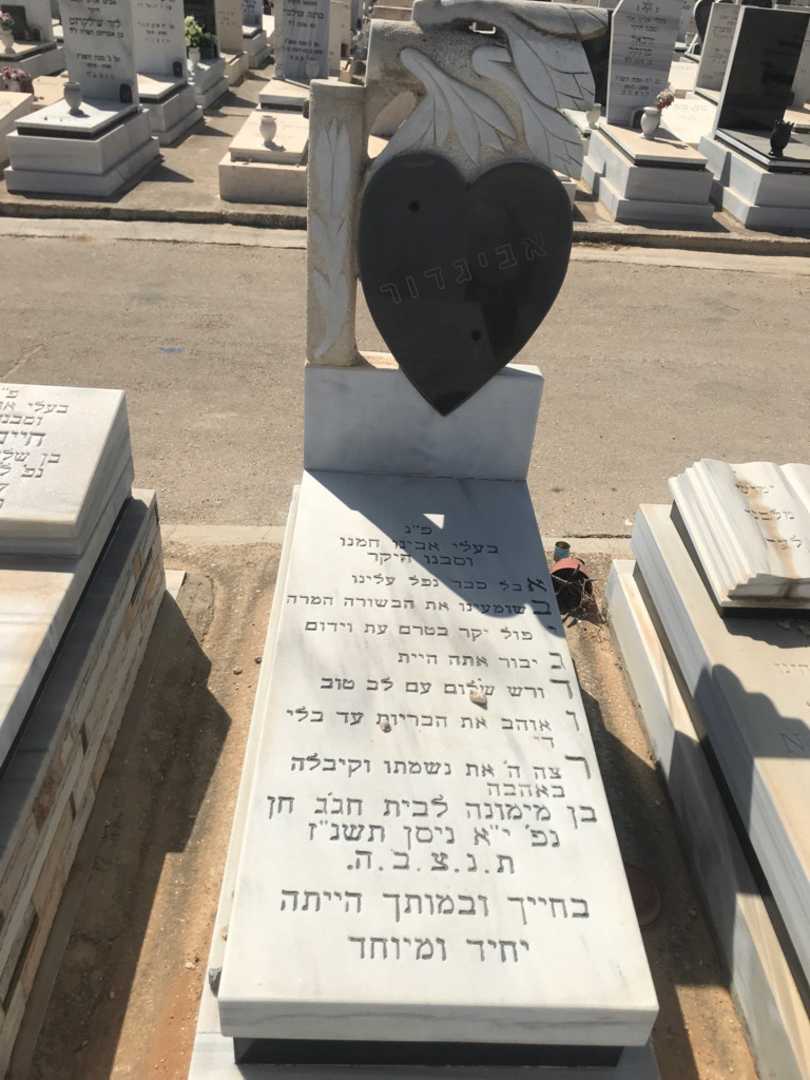 קברו של אביגדור חג'ג