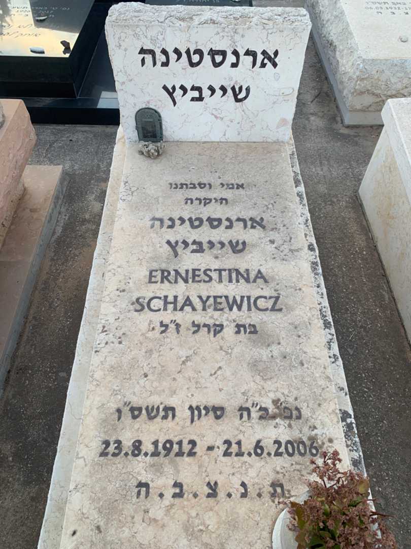 קברו של ארנסטינה שייביץ
