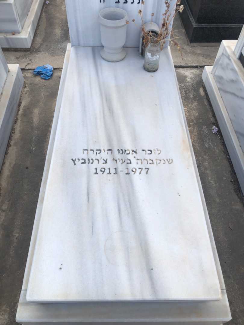 קברו של מאיר דוחובני. תמונה 1