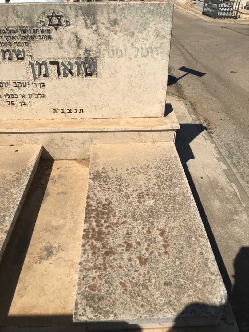 קברו של גיטל "גינה" שוארמן. תמונה 2