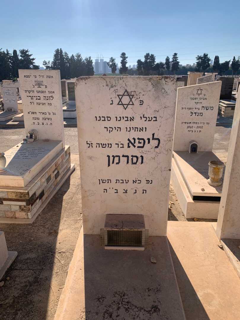 קברו של ליפא וסרמן. תמונה 2