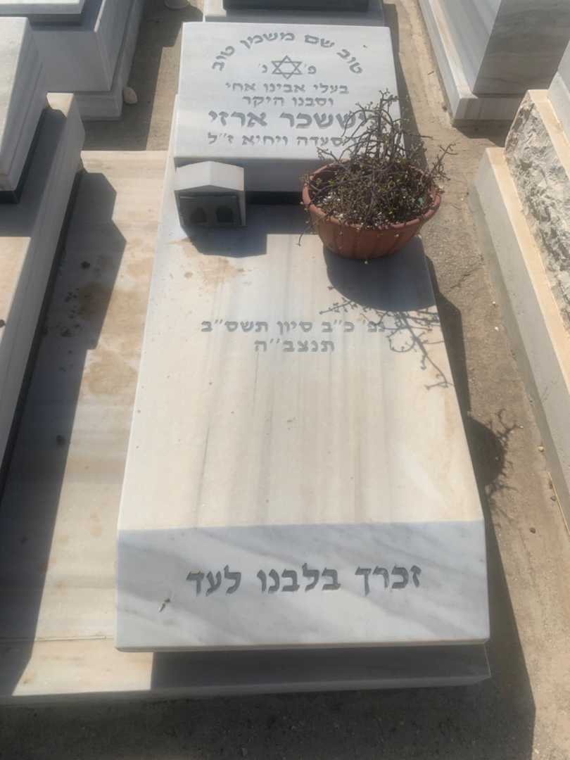 קברו של יששכר ארזי. תמונה 1