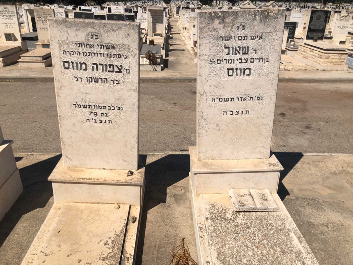 קברו של שאול מוזס. תמונה 2