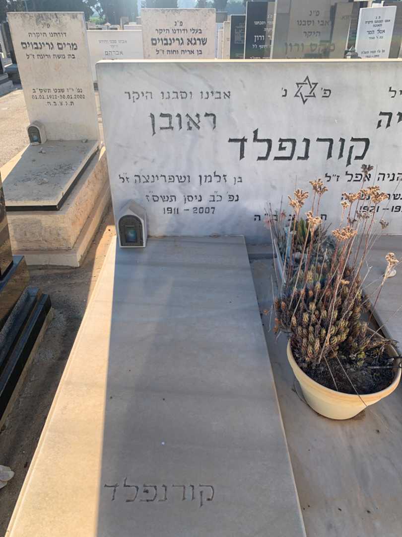 קברו של ראובן קורנפלד. תמונה 2