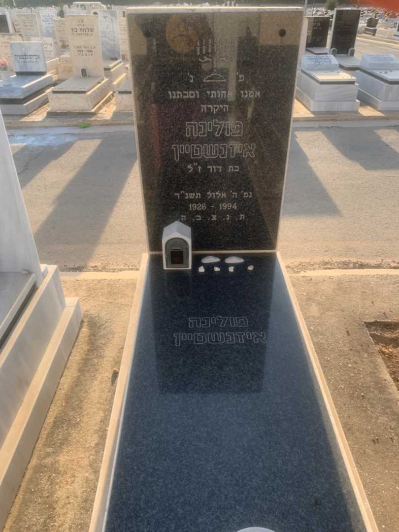 קברו של פולינה איזנשטיין. תמונה 1