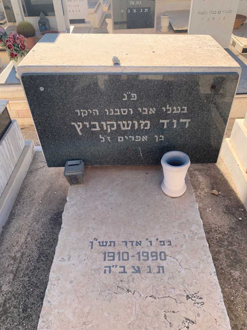 קברו של דוד מושקוביץ