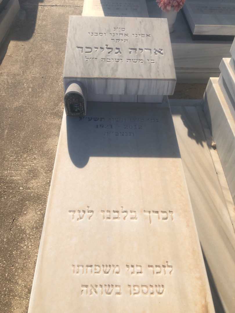 קברו של אריה גלייכר. תמונה 1