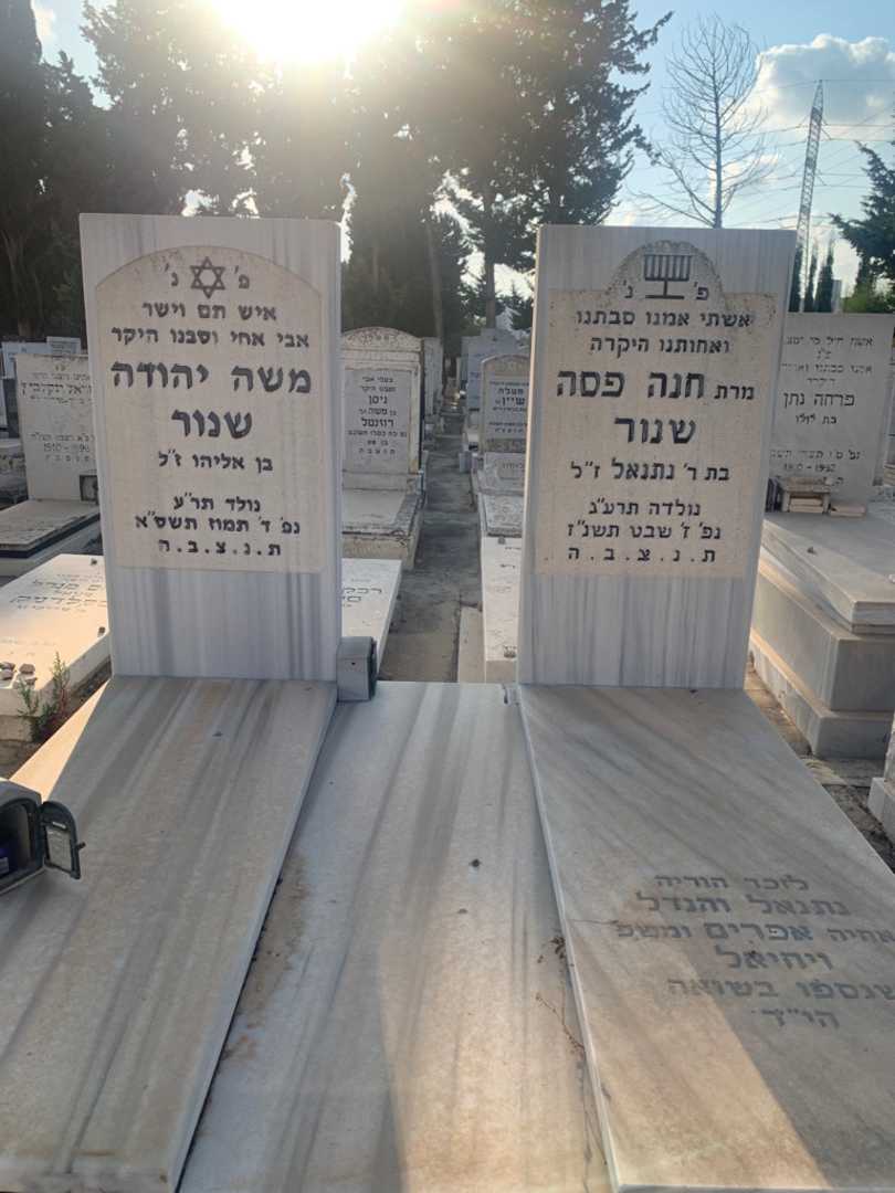 קברו של משה יהודה שנור. תמונה 1