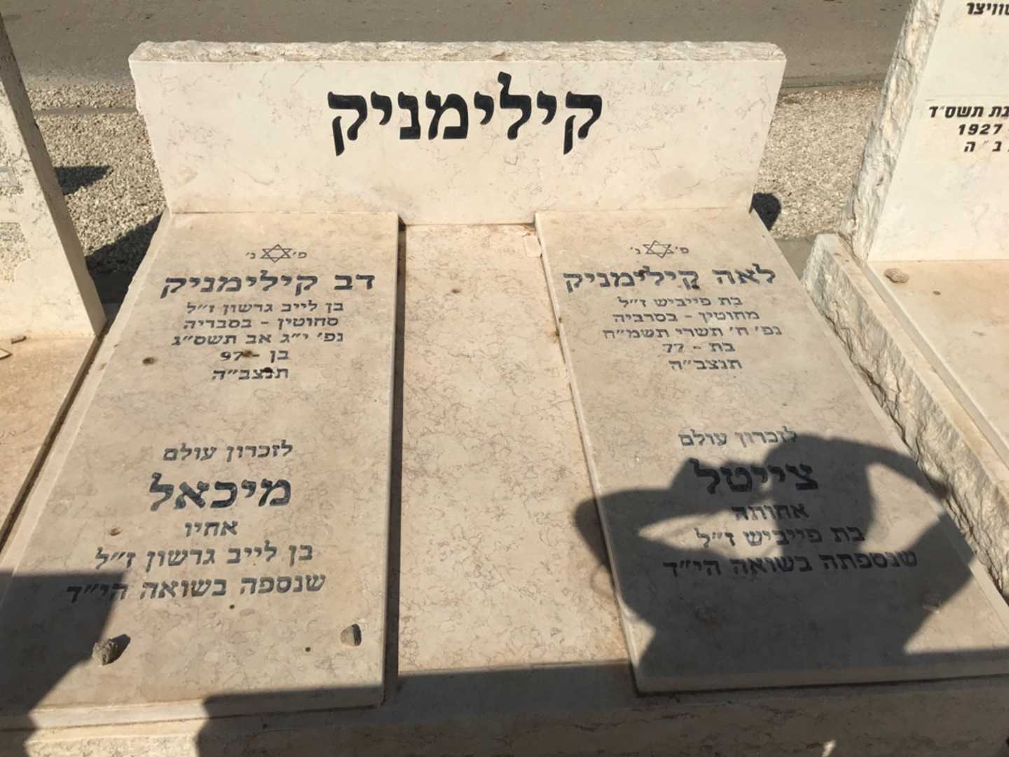 קברו של דב קילימניק. תמונה 1