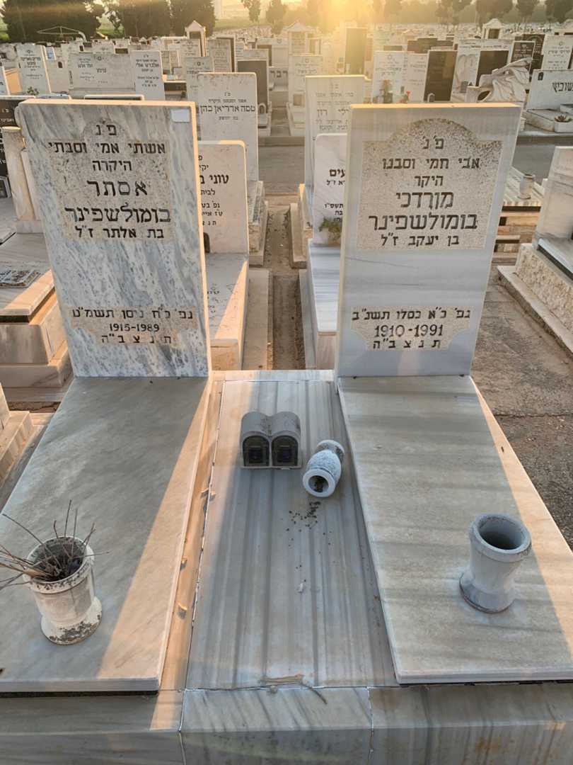 קברו של אסתר בומולשפינר. תמונה 1