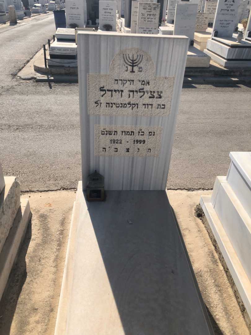 קברו של צציליה זיידל
