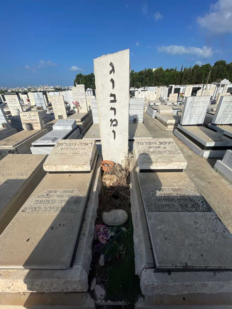 קברו של יעקב גוברמן. תמונה 1