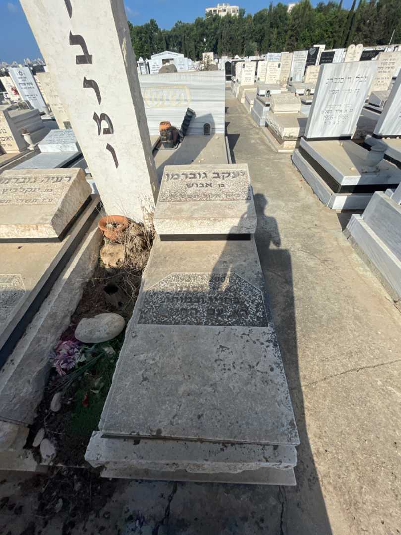 קברו של יעקב גוברמן. תמונה 2