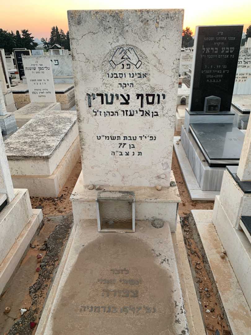 קברו של יוסף ציטרין