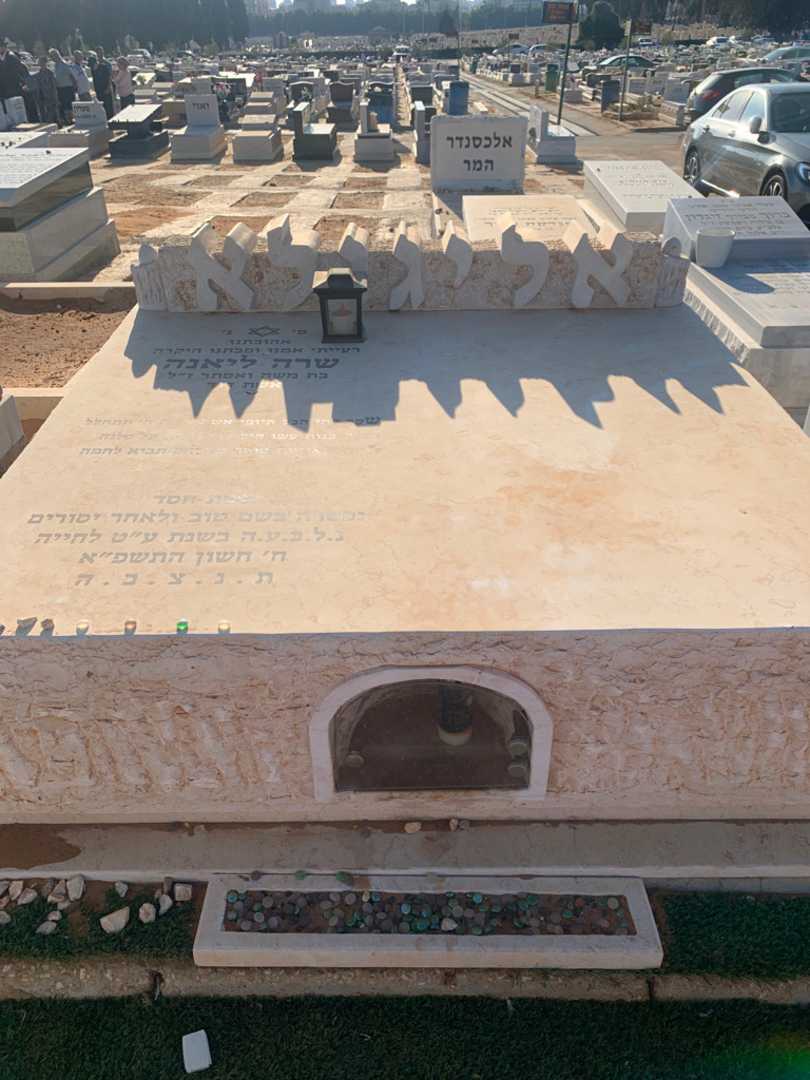 קברו של שרה ליאנה אליגילא. תמונה 1