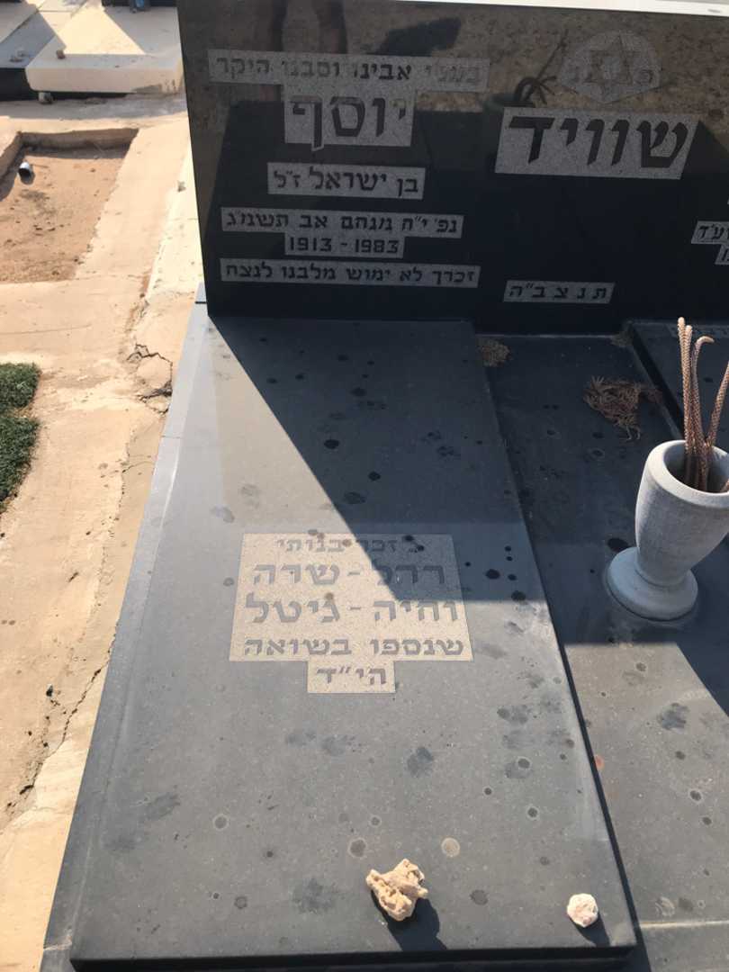 קברו של יוסף שוויד. תמונה 2