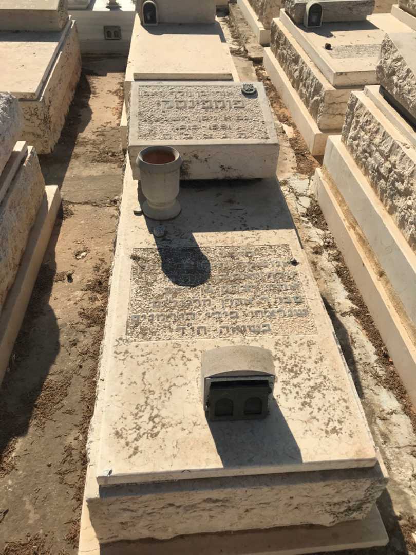 קברו של אהרן מרגוליס. תמונה 1