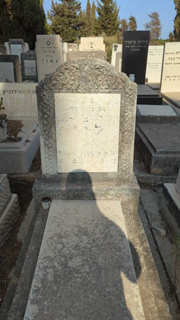 קברו של אלירן לוי