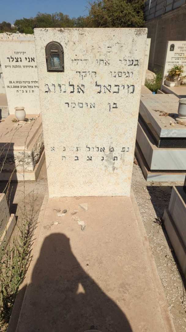 קברו של מיכאל אלמוג