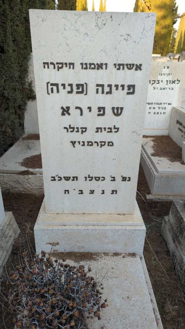 קברו של פייגה "פניה" שפירא