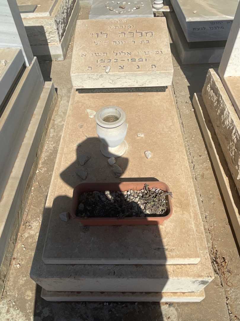 קברו של מלכה לוי