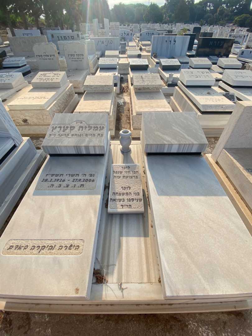 קברו של עמליה סטרץ. תמונה 2