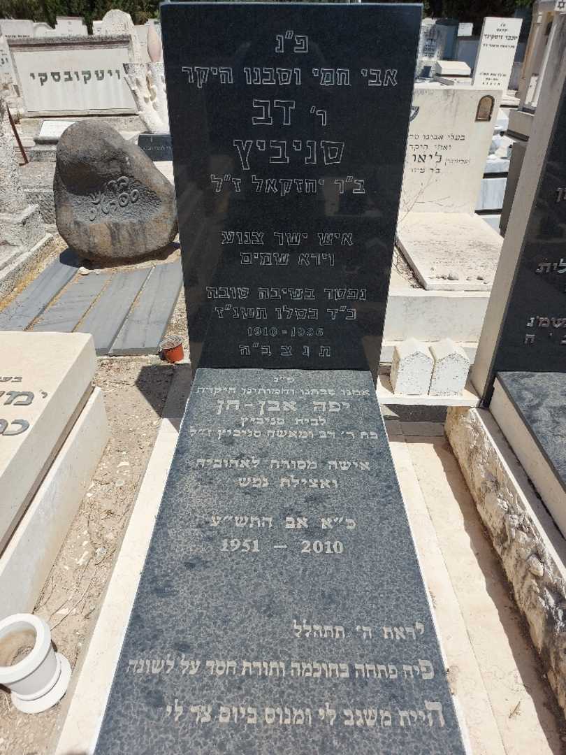 קברו של דב סניביץ. תמונה 1
