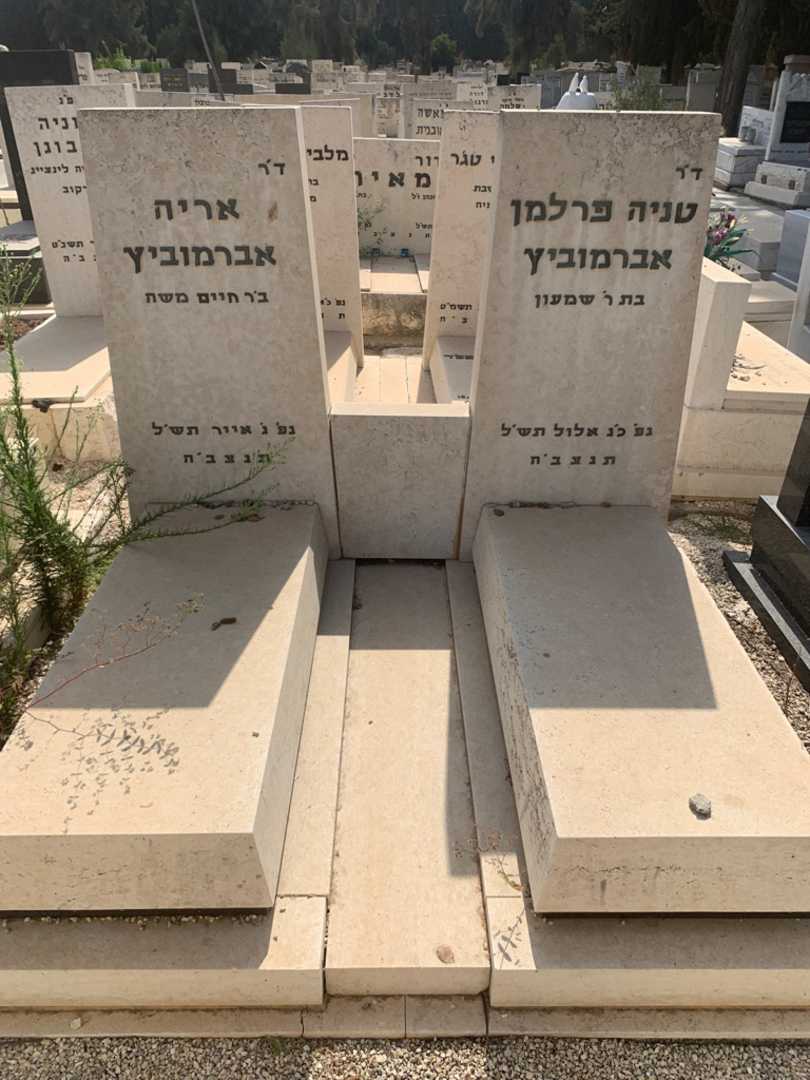 קברו של טניה פרלמן אברמוביץ. תמונה 2