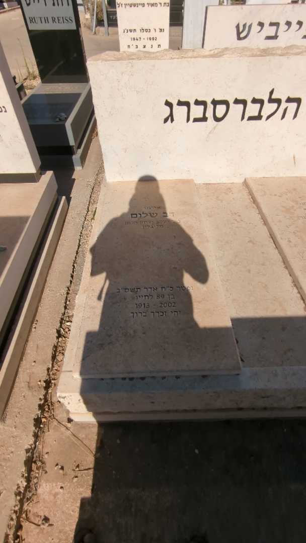 קברו של דב שלום הלברסברג. תמונה 1