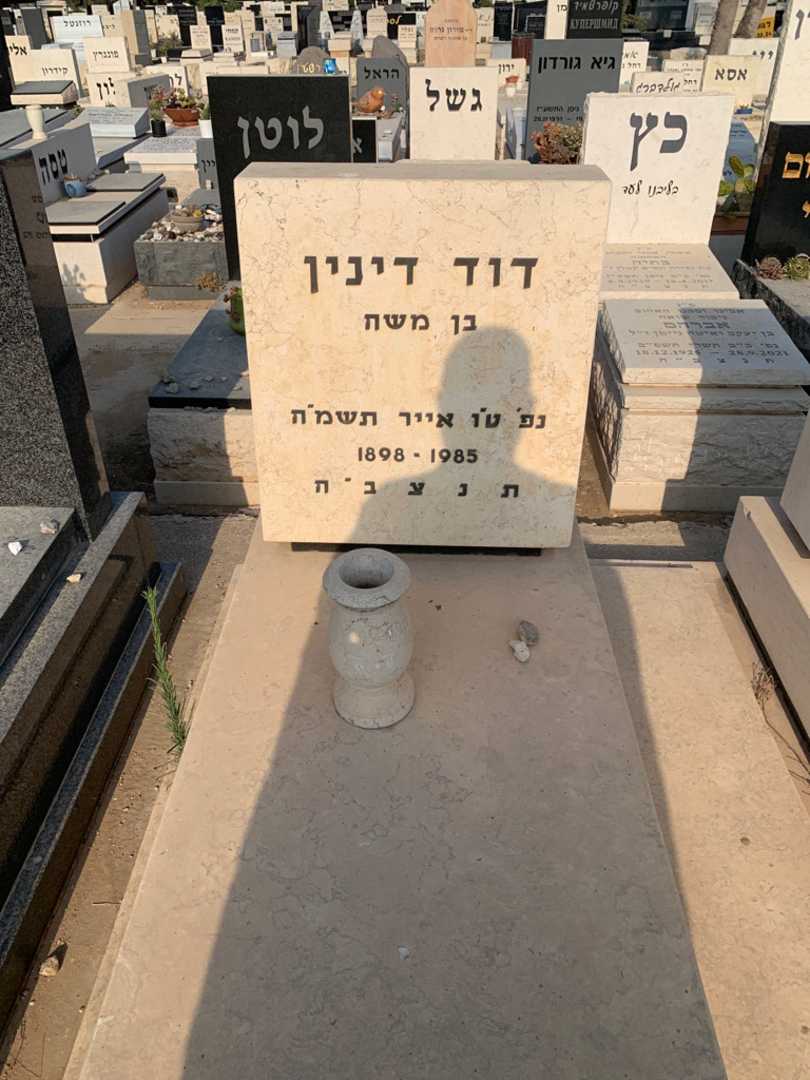 קברו של דוד דינין. תמונה 2