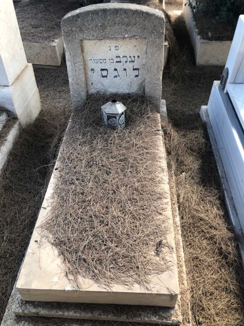 קברו של יעקב לוגסי