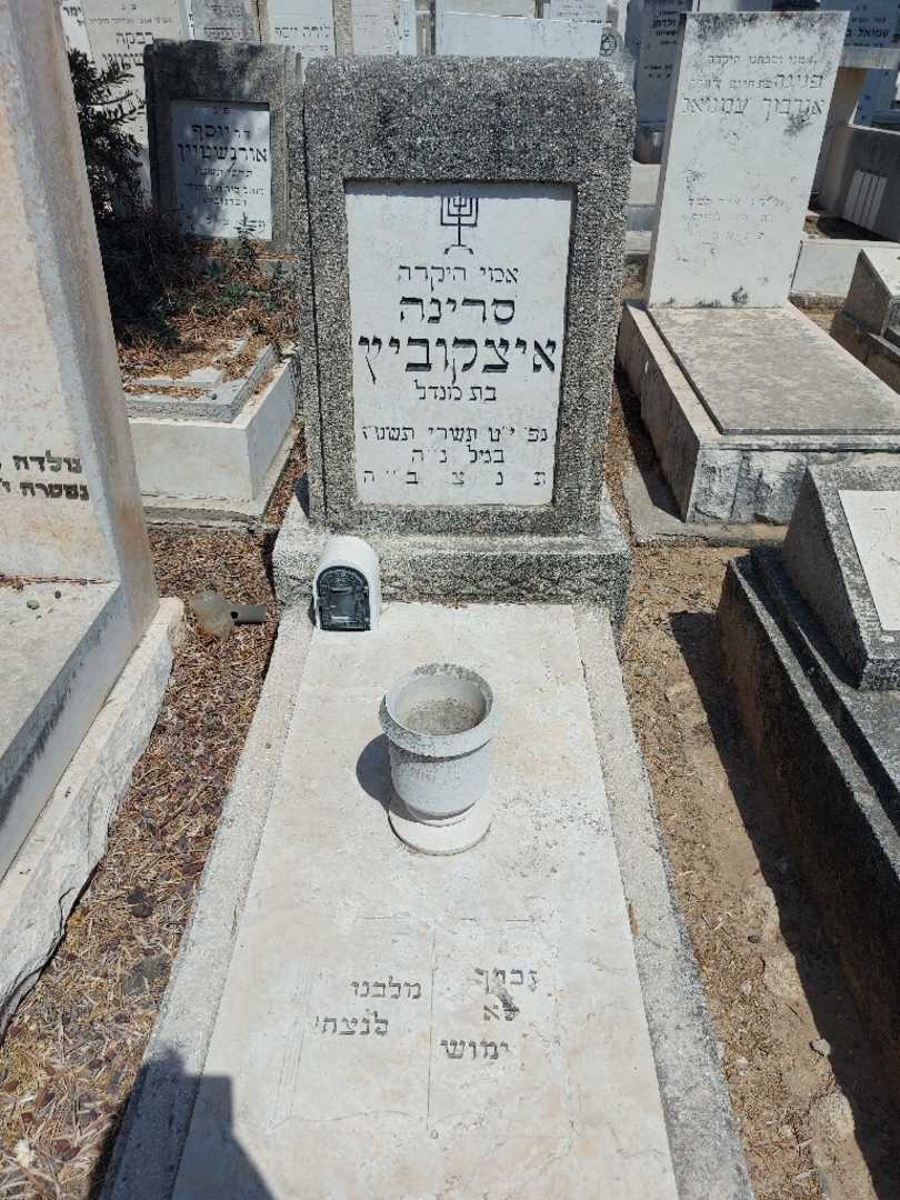 קברו של סרינה איצקוביץ