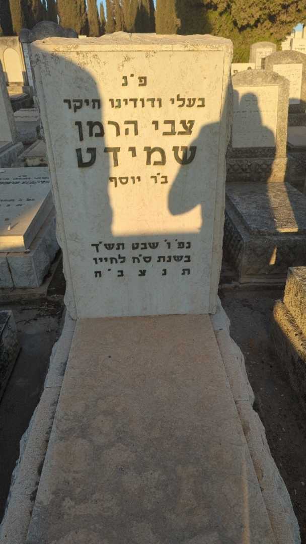 קברו של צבי הרמן שמידט