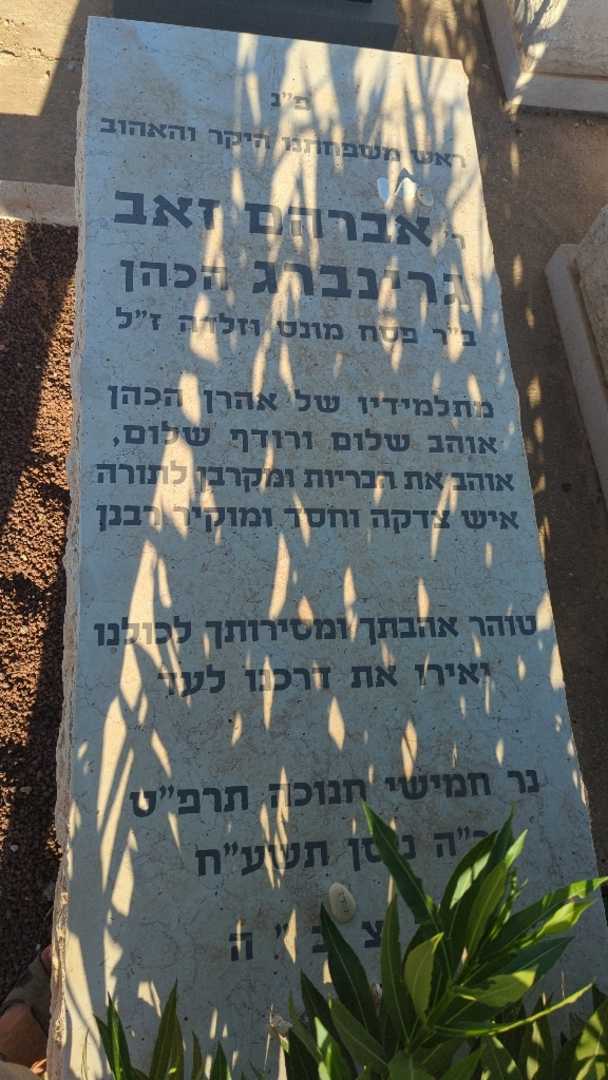 קברו של אברהם זאב "הכהן" גרינברג. תמונה 1
