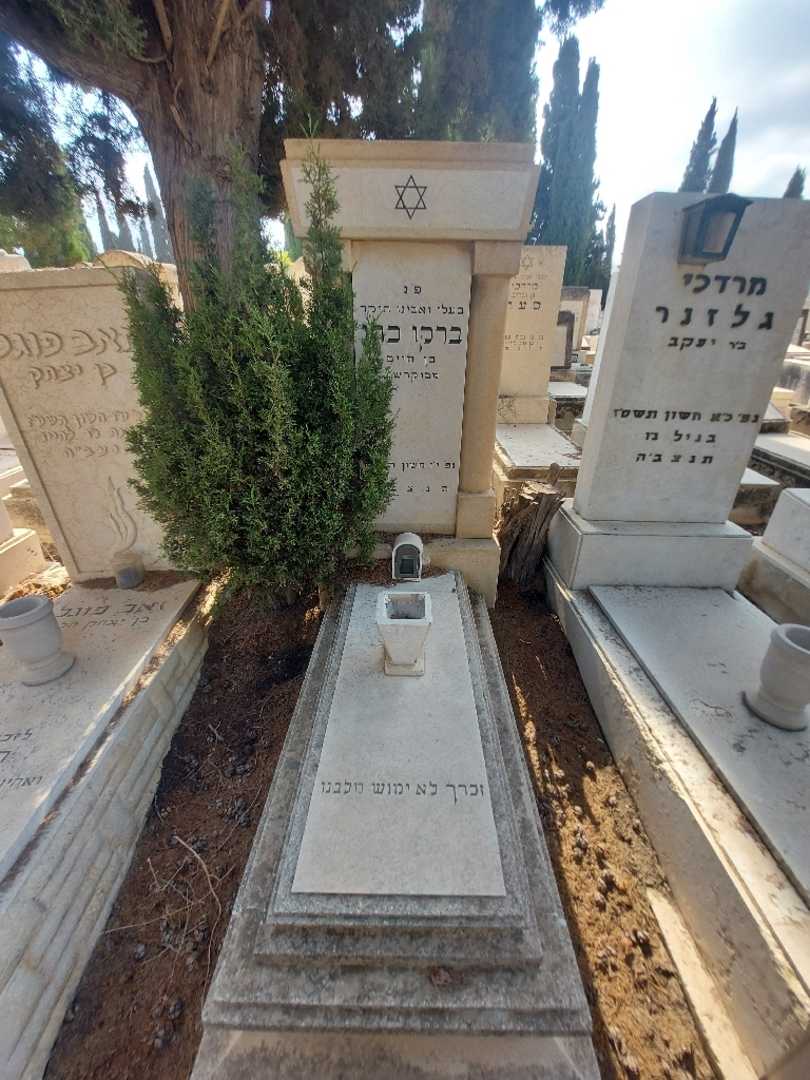 קברו של ברקו כהן