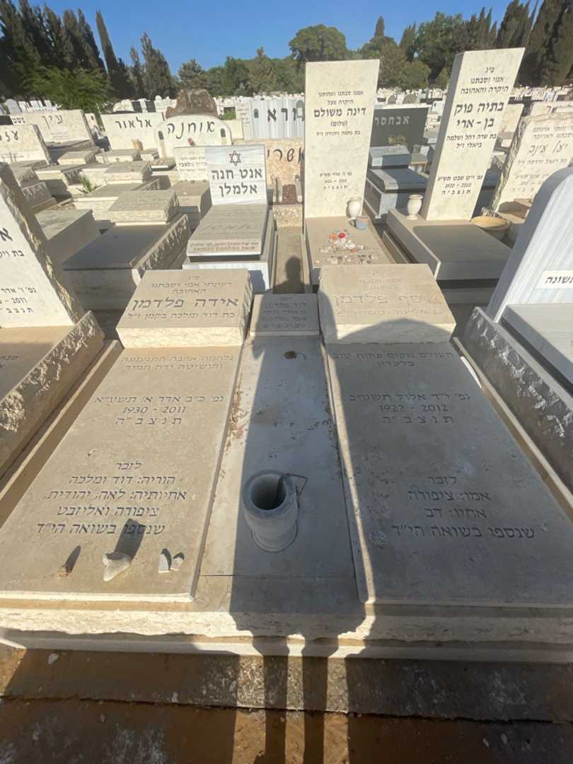 קברו של דוד פלדמן. תמונה 1