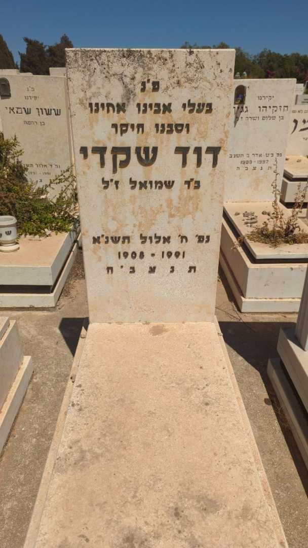 קברו של דוד שקדי