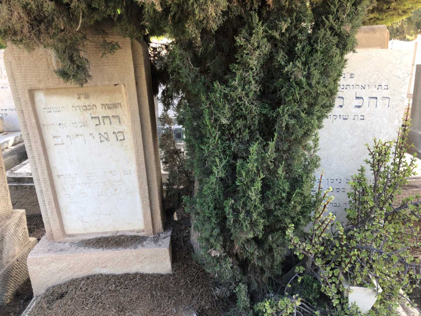 קברו של רחל מאירוב. תמונה 2