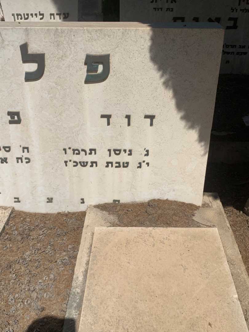 קברו של דוד פלץ. תמונה 1