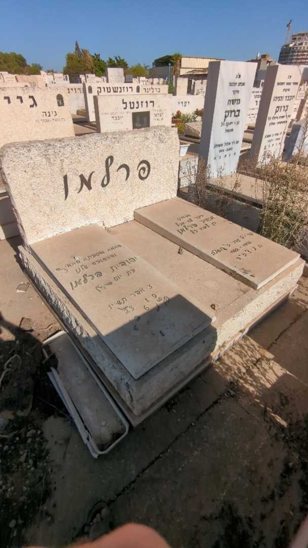 קברו של מאיר פרלמן. תמונה 2