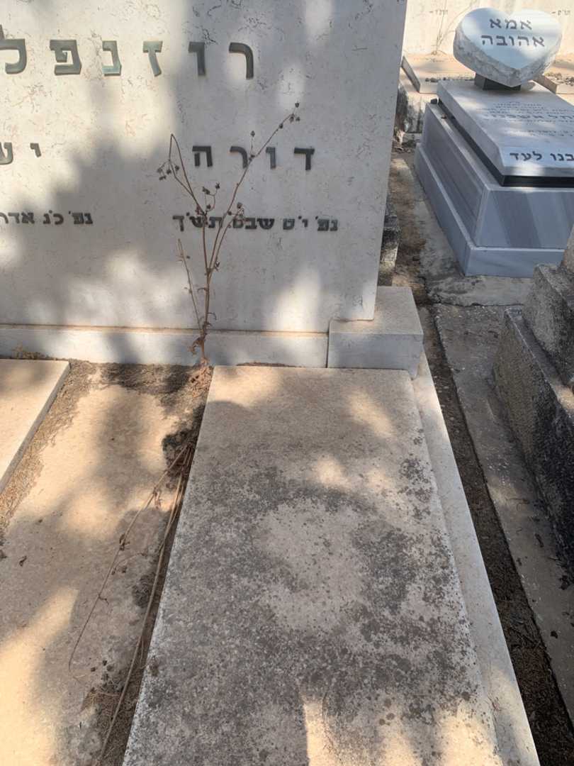 קברו של דורה רוזנפלד. תמונה 1