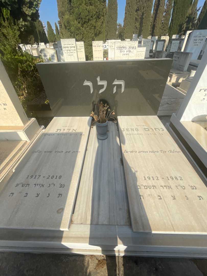 קברו של נחום "ז'נו" הלר. תמונה 1