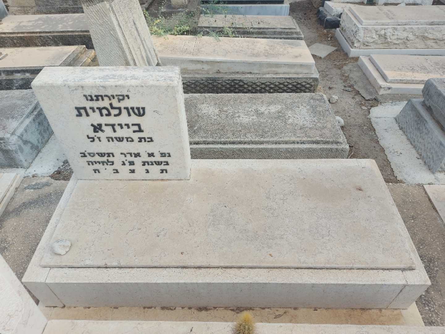 קברו של שולמית ביידא