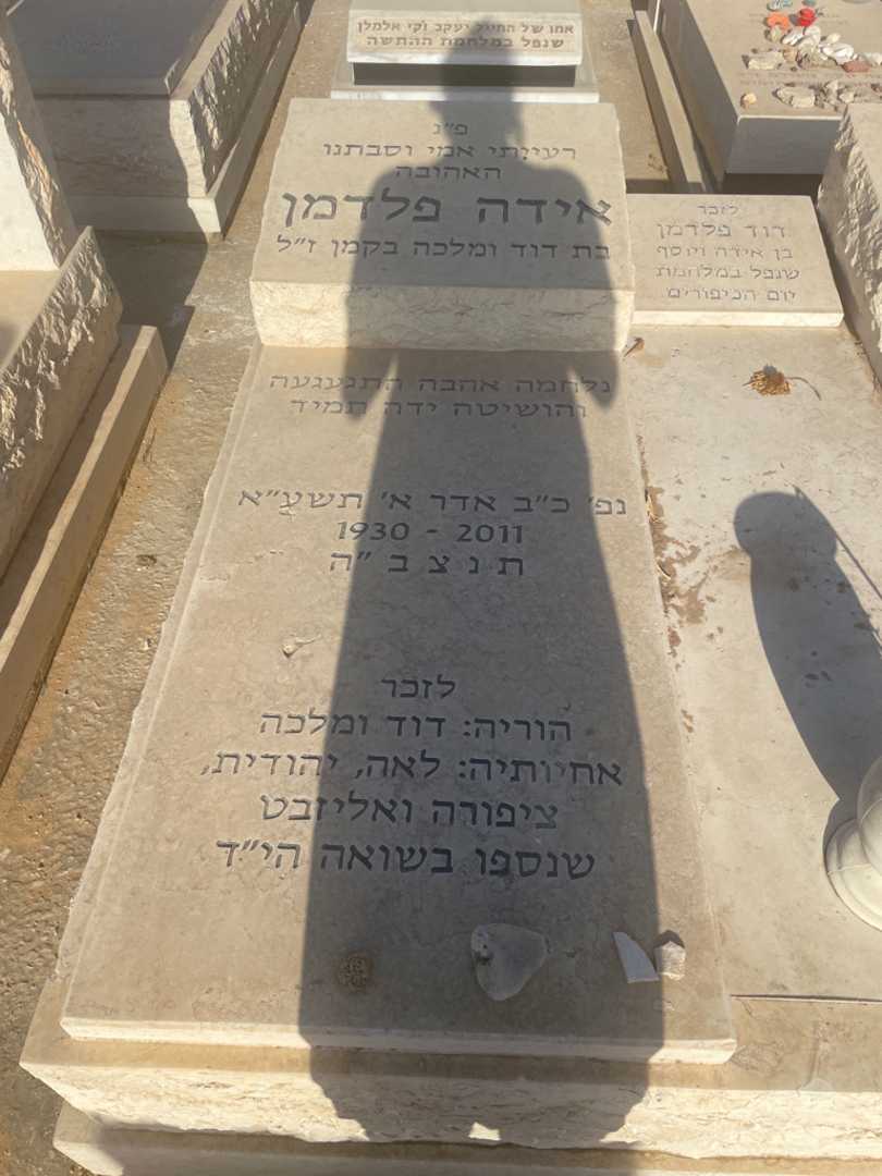 קברו של דוד פלדמן. תמונה 2
